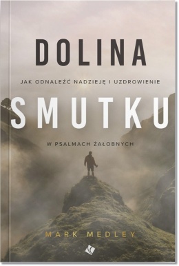 Dolina smutku. Mark Medley