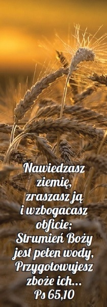 Zakładka laminowana