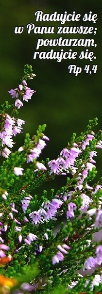 Zakładka laminowana