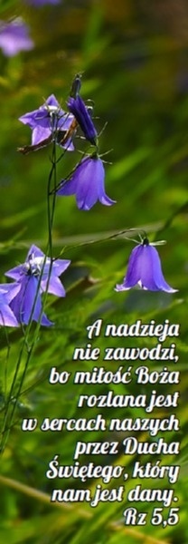 Zakładka laminowana