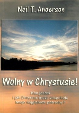 Wolny w Chrystusie. Neil T. Andreson