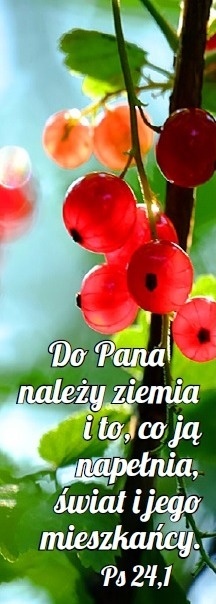 Zakładka laminowana Zakładka laminowana